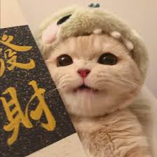 Avatar của Minh Tuấn